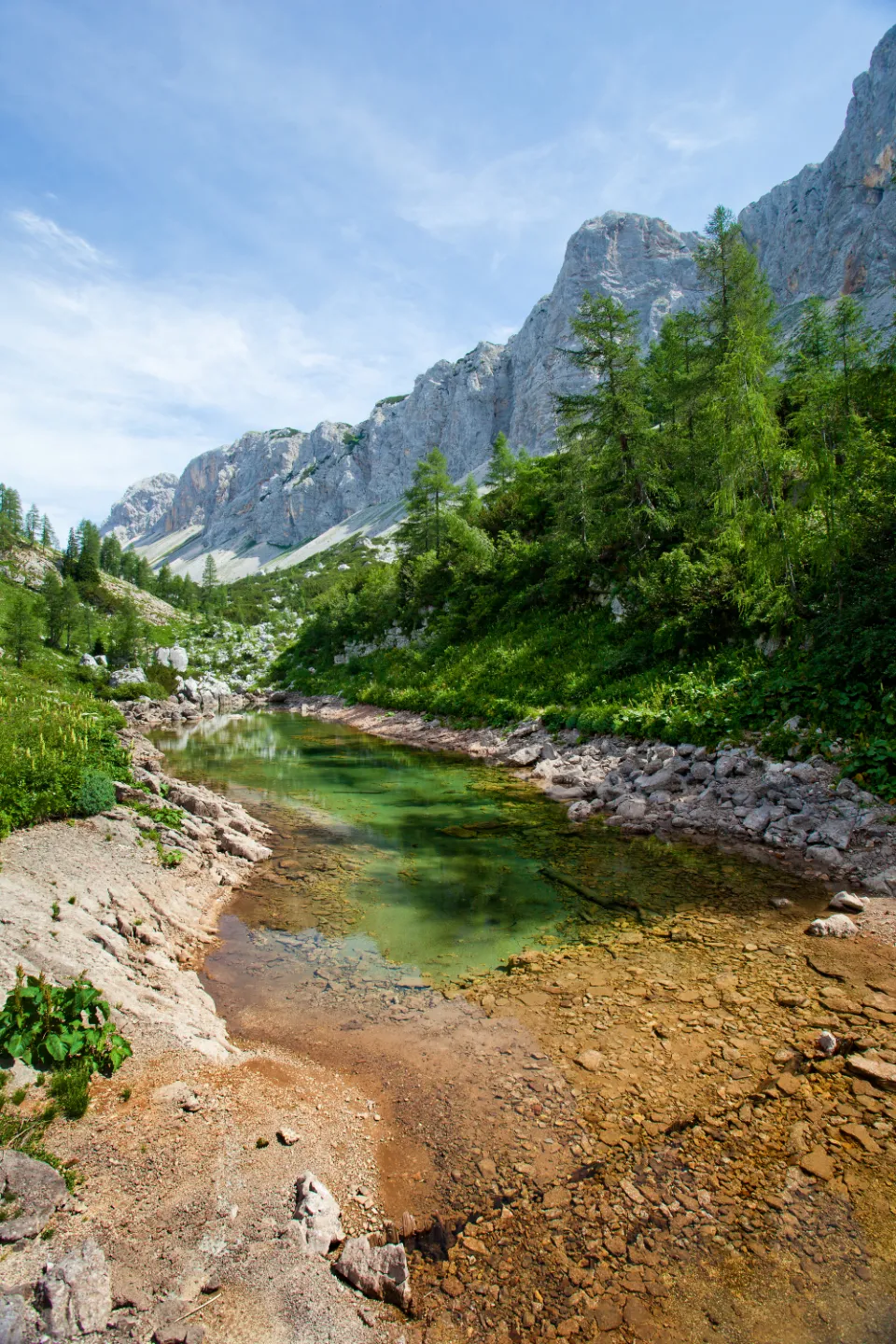 River valley in Triglav National Park