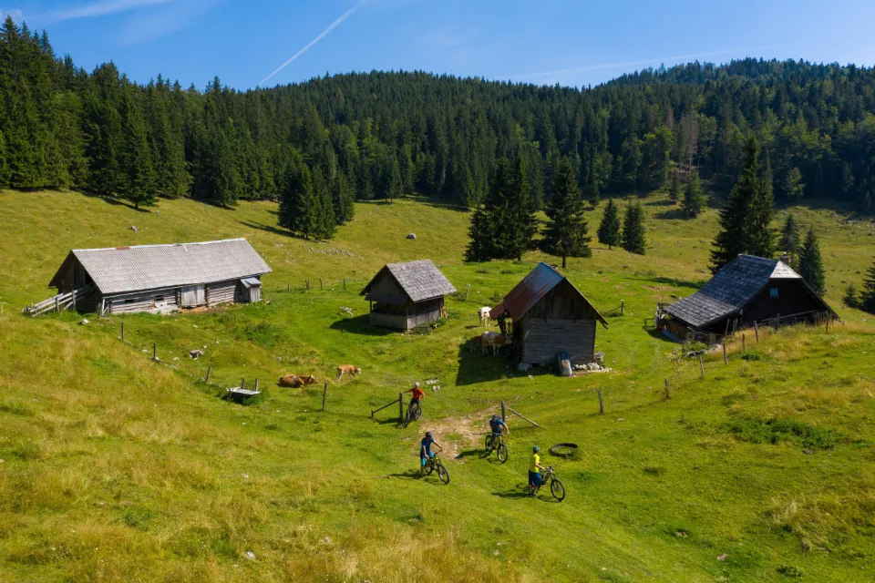 Pastures on the Pokljuka plateau